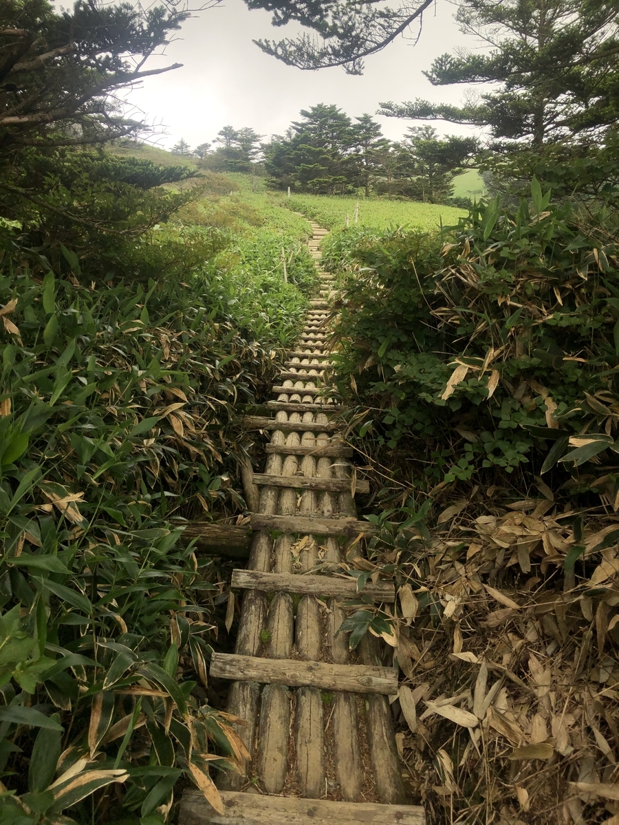 f:id:wanderlust_journal:20201225220836j:plain