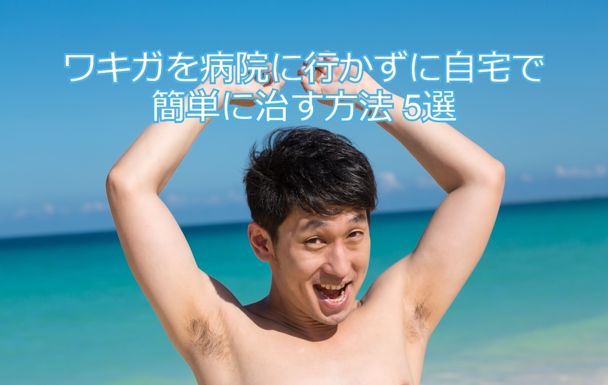 f:id:wanggaoqiao8:20190725151907j:plain f:id:wanggaoqiao8:20190725151907j:plain