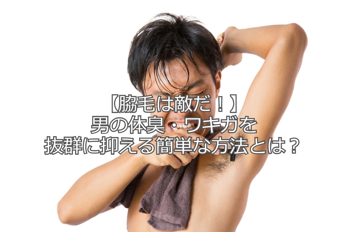 f:id:wanggaoqiao8:20190831132219j:plain f:id:wanggaoqiao8:20190831132219j:plain