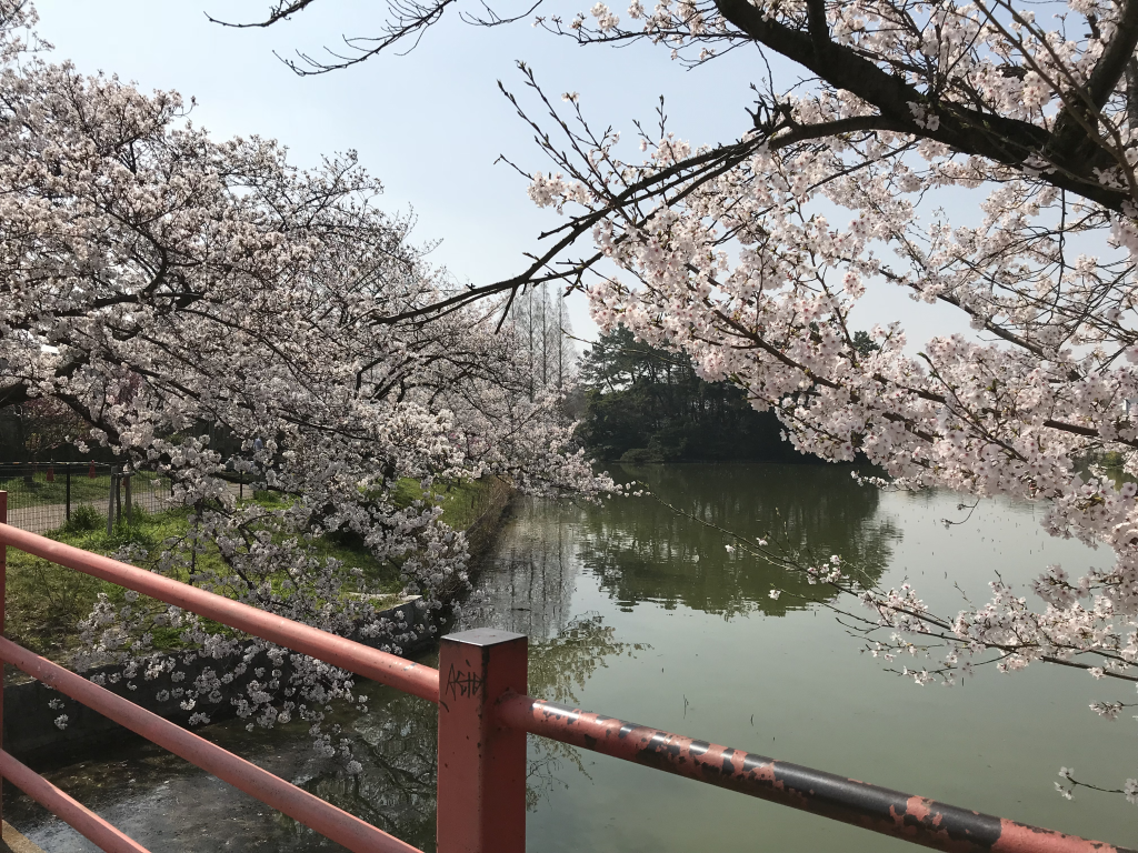 f:id:wanichan:20180328113338p:plain