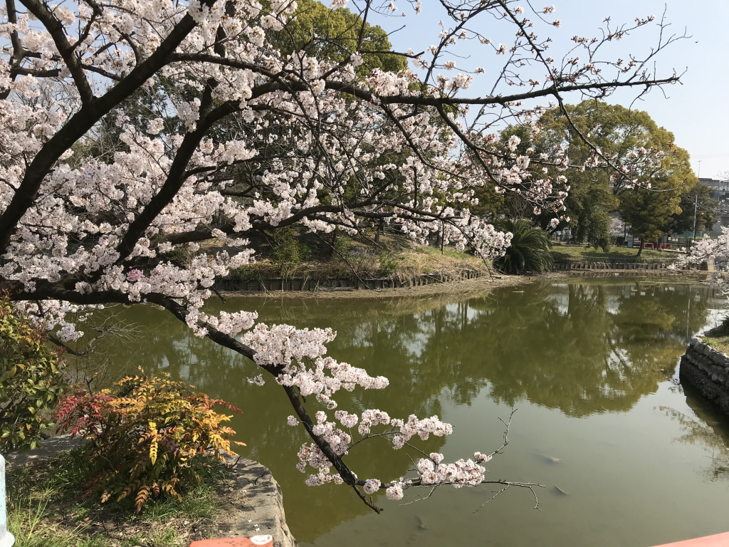 f:id:wanichan:20180328113415p:plain