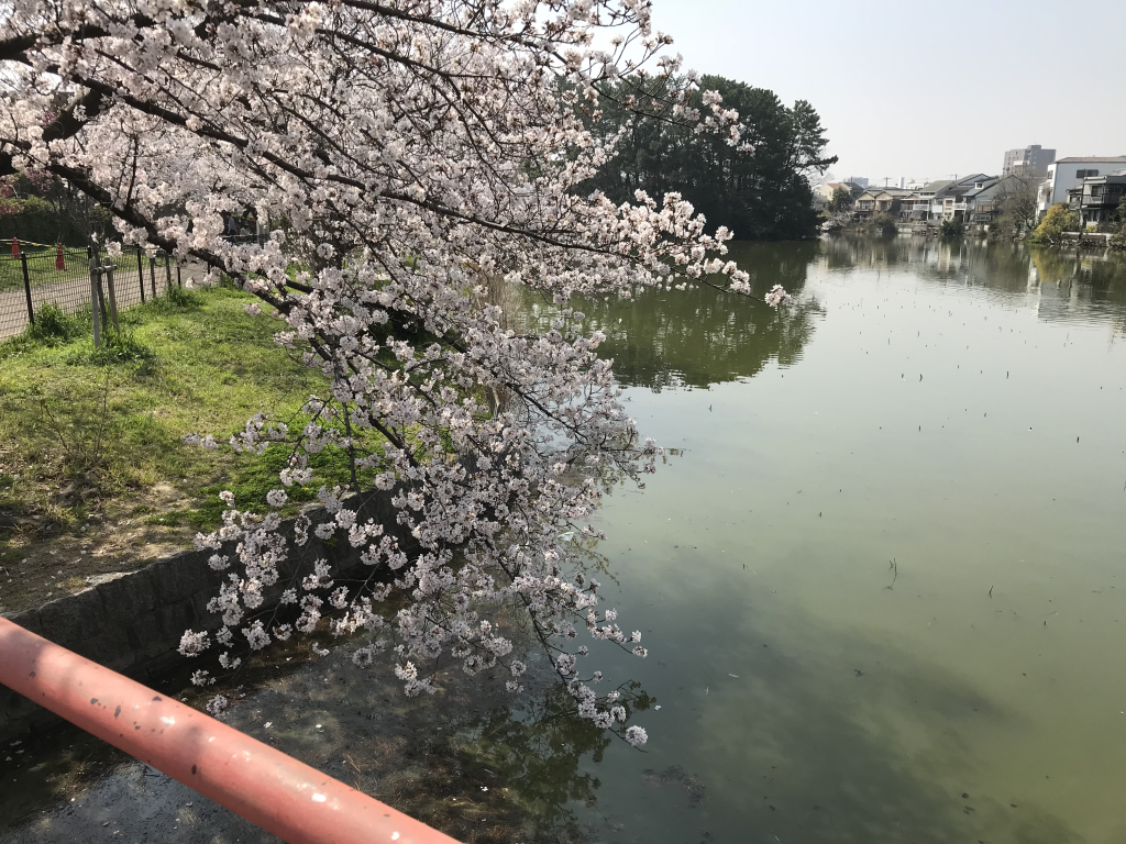 f:id:wanichan:20180328113440p:plain