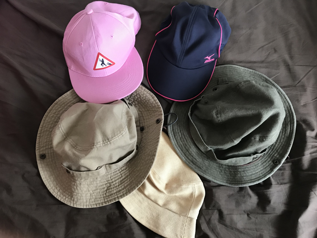 f:id:wanichan:20180729154236j:plain