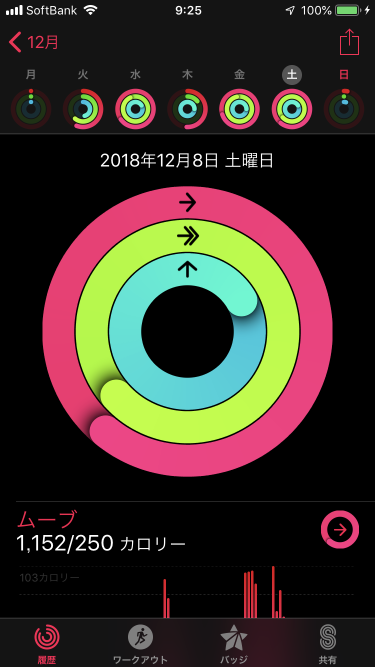 f:id:wanichan:20181209092622p:plain