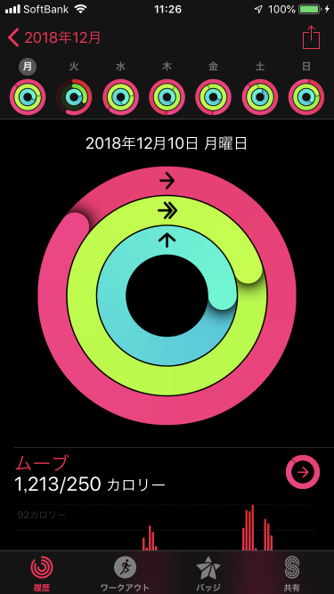 f:id:wanichan:20190129113034p:plain