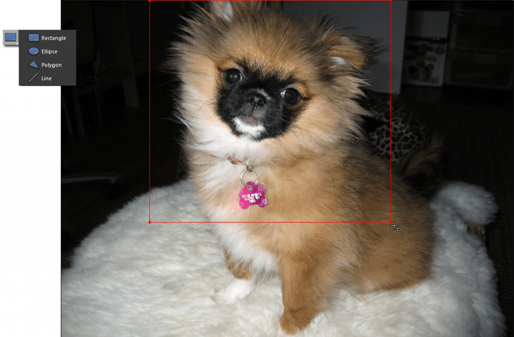 f:id:wanichan:20190526131639p:plain f:id:wanichan:20190526131639p:plain