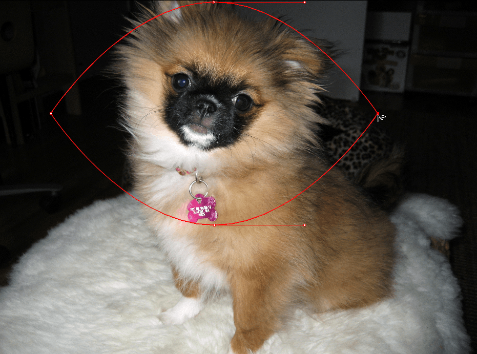 f:id:wanichan:20190526132516p:plain f:id:wanichan:20190526132516p:plain