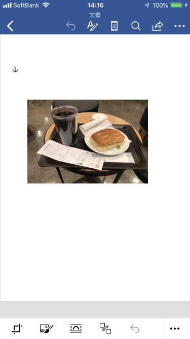 f:id:wanichan:20191126142336p:plain
