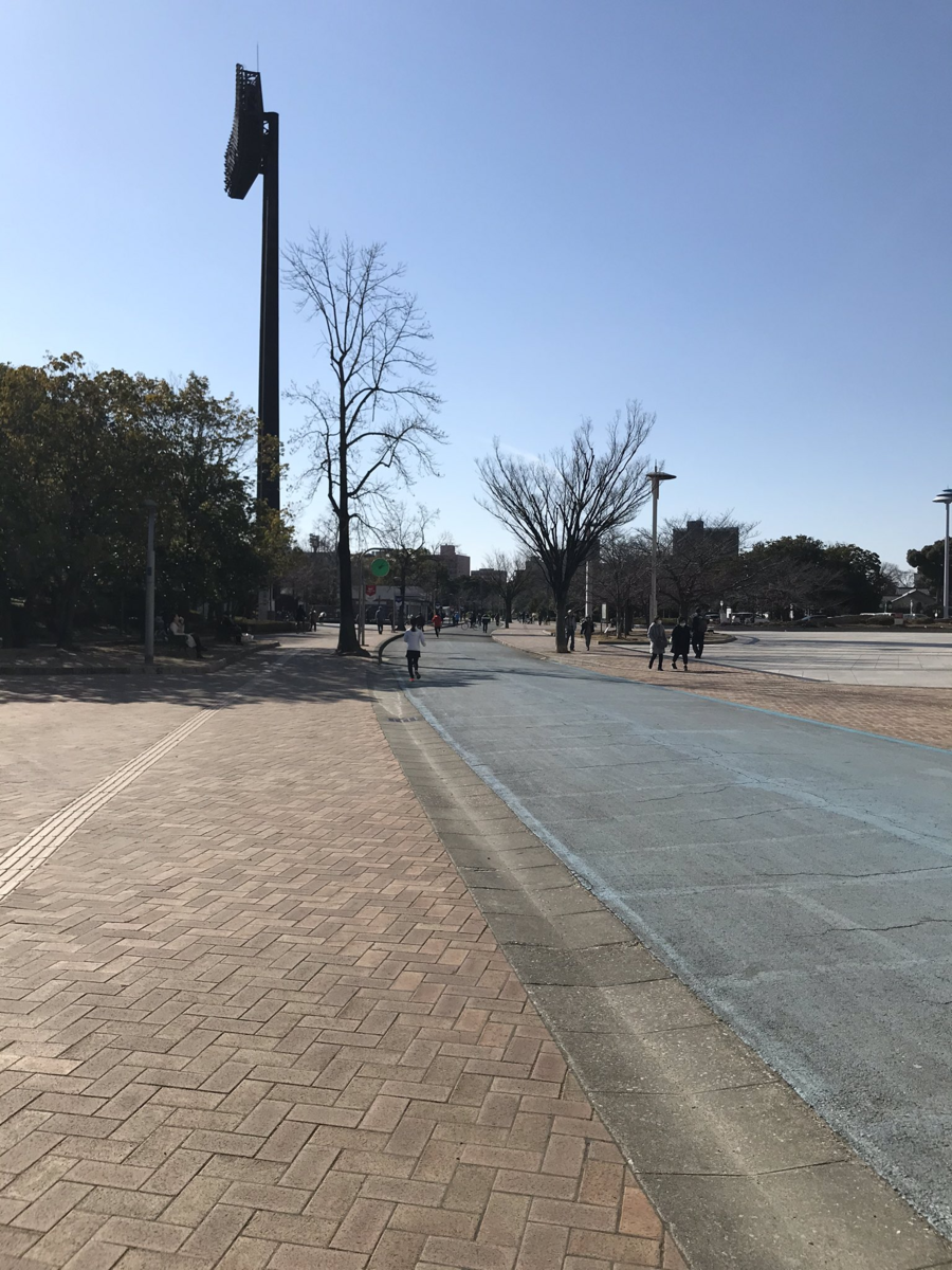 f:id:wanichan:20200211220248p:plain