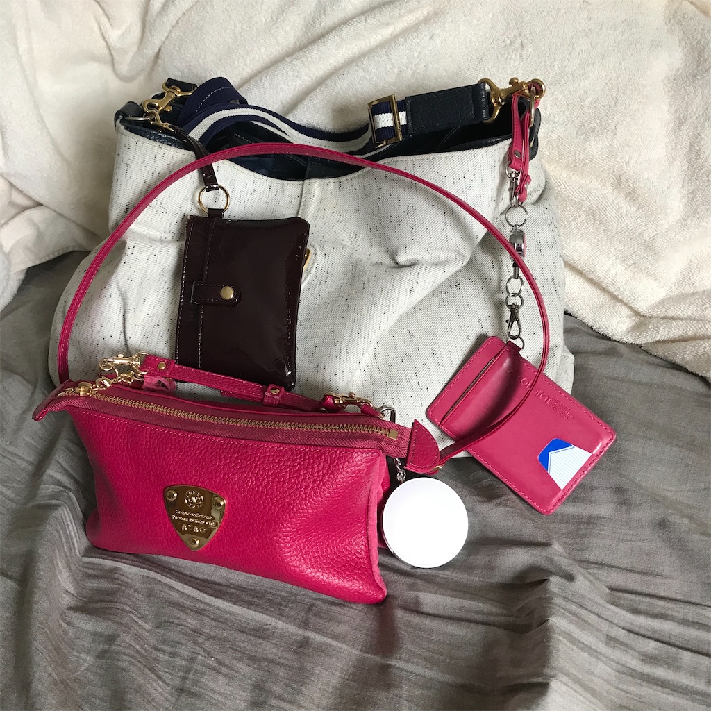 f:id:wanichan:20200630122051j:image