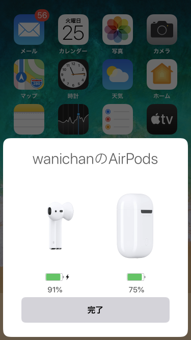 f:id:wanichan:20200826132502p:plain