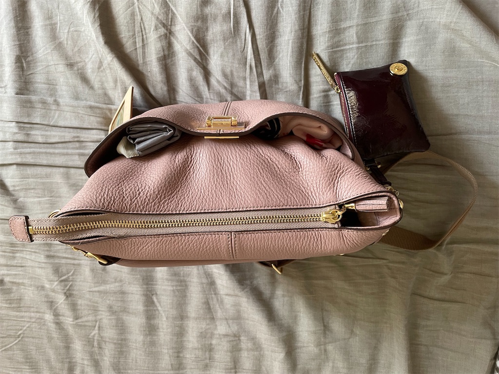 f:id:wanichan:20220803155341j:image