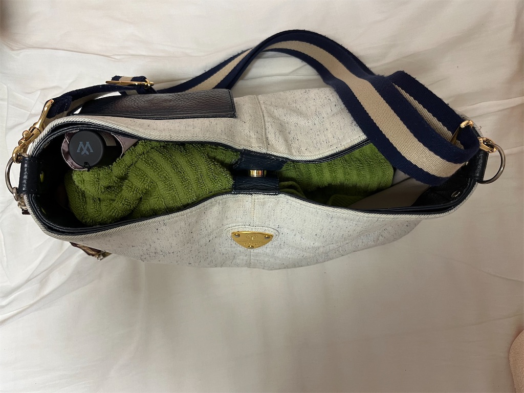 f:id:wanichan:20240418221111j:image