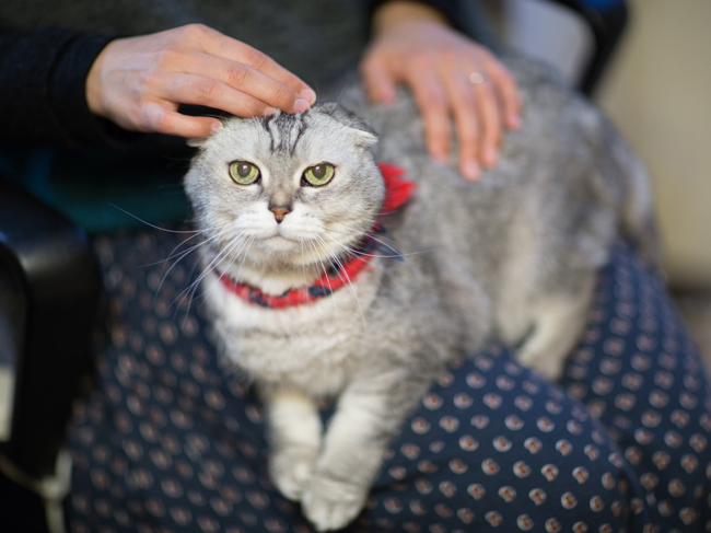 f:id:waniwanio:20160328113125j:plain f:id:waniwanio:20160328113125j:plain