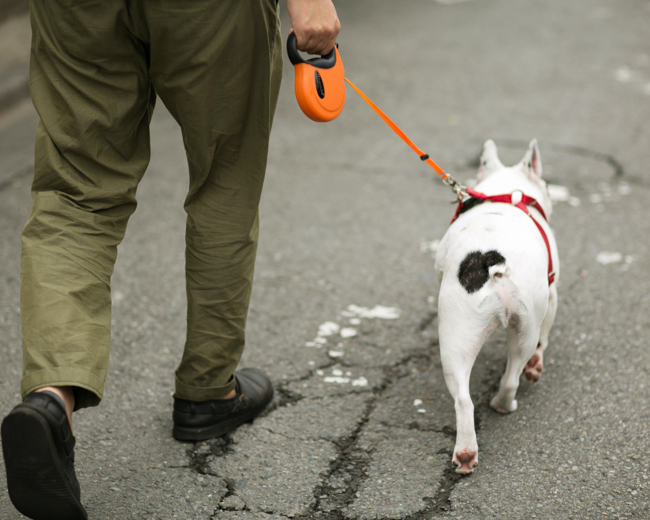 f:id:waniwanio:20160808130455j:plain