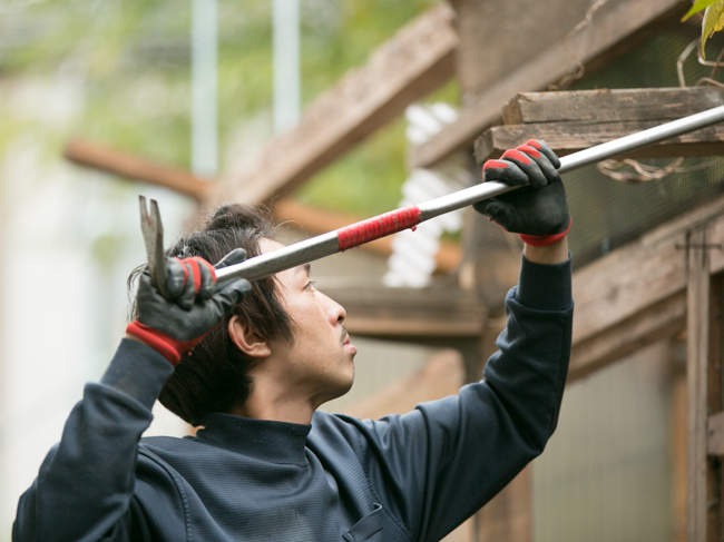 f:id:waniwanio:20161225110748j:plain f:id:waniwanio:20161225110748j:plain