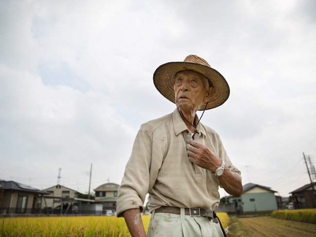 f:id:waniwanio:20171009173733j:plain f:id:waniwanio:20171009173733j:plain