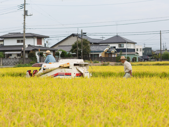 f:id:waniwanio:20171010125632j:plain f:id:waniwanio:20171010125632j:plain