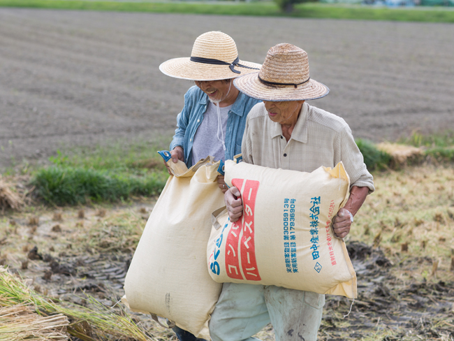 f:id:waniwanio:20171010125904j:plain f:id:waniwanio:20171010125904j:plain