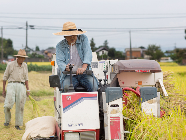 f:id:waniwanio:20171010133634j:plain f:id:waniwanio:20171010133634j:plain