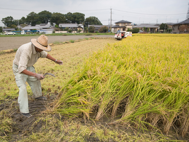 f:id:waniwanio:20171013104200j:plain f:id:waniwanio:20171013104200j:plain