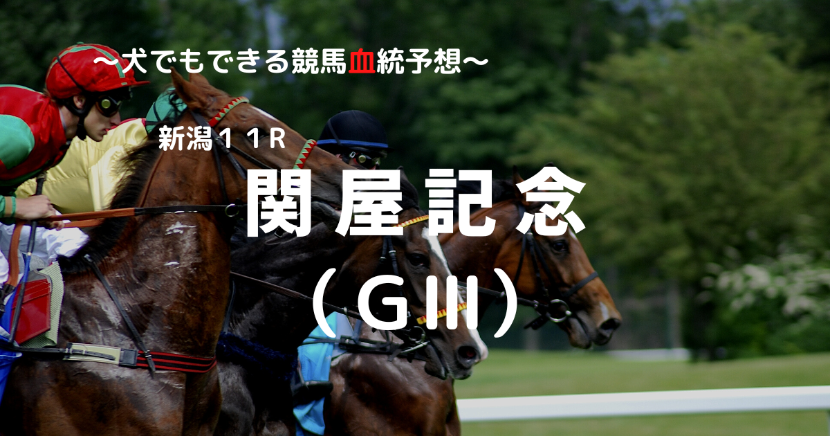 ２０２２関屋記念 ｇ 予想 犬でもできる競馬血統予想