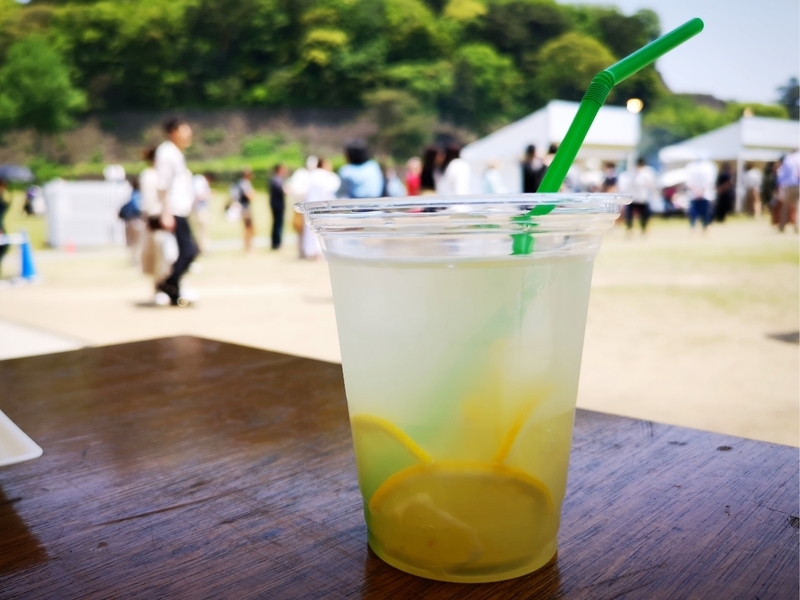 イメージ 5