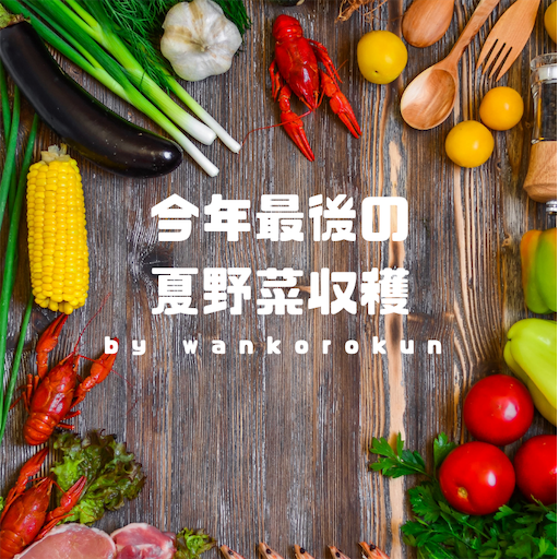 f:id:wankorokun:20181114200855p:image f:id:wankorokun:20181114200855p:image