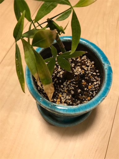 f:id:wankorokun:20181208205745j:image