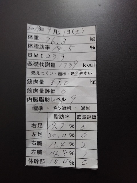 f:id:wankumasan:20190922163906j:plain