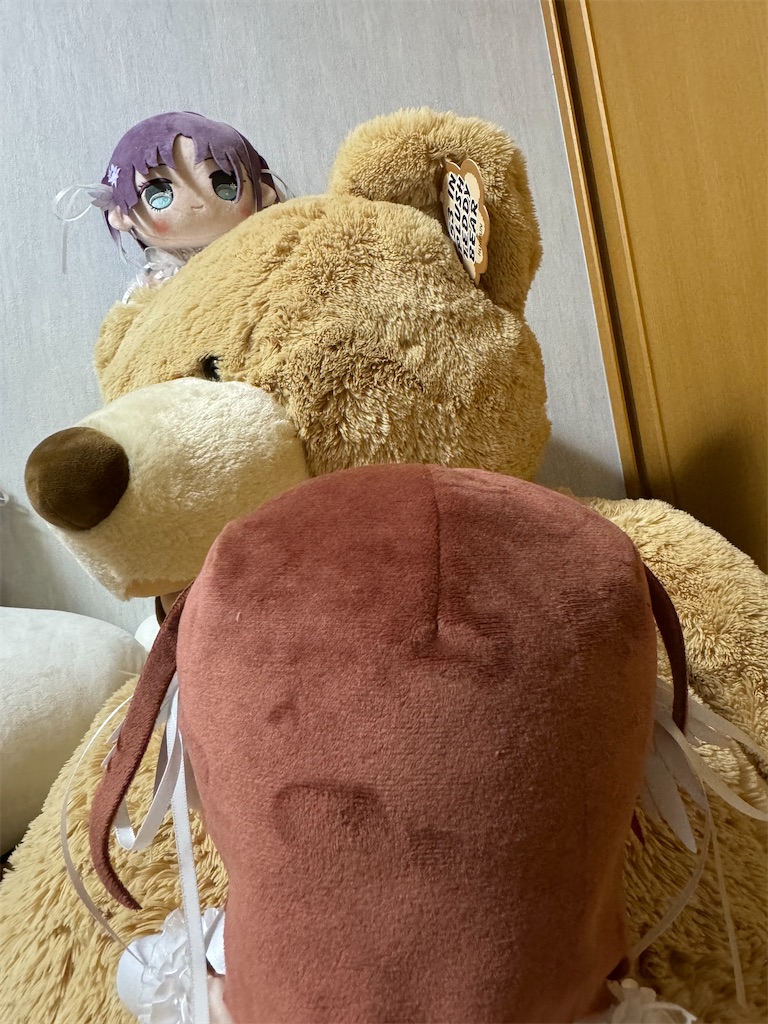 f:id:wannabelemontea:20240417231929j:image