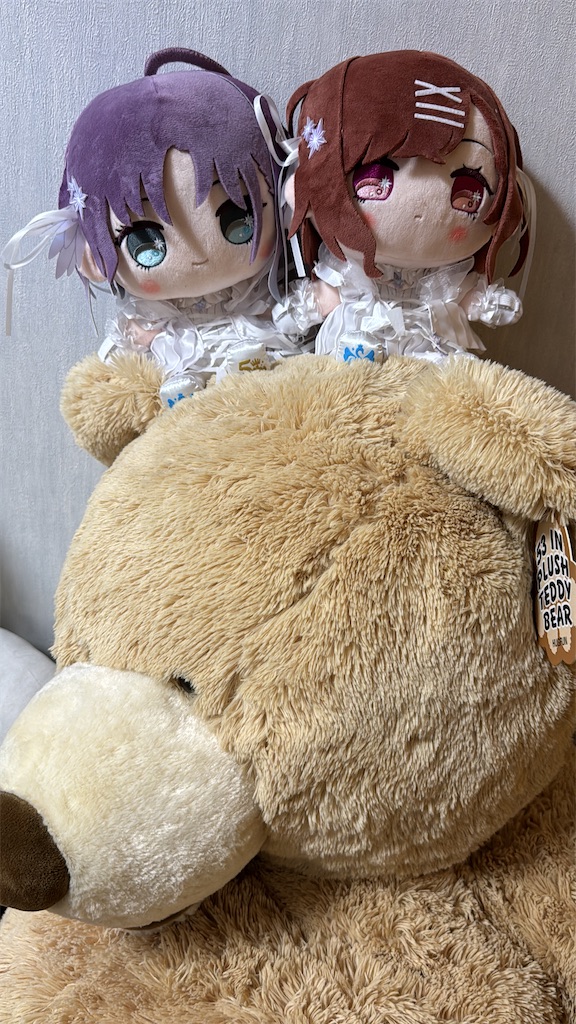 f:id:wannabelemontea:20240417231932j:image