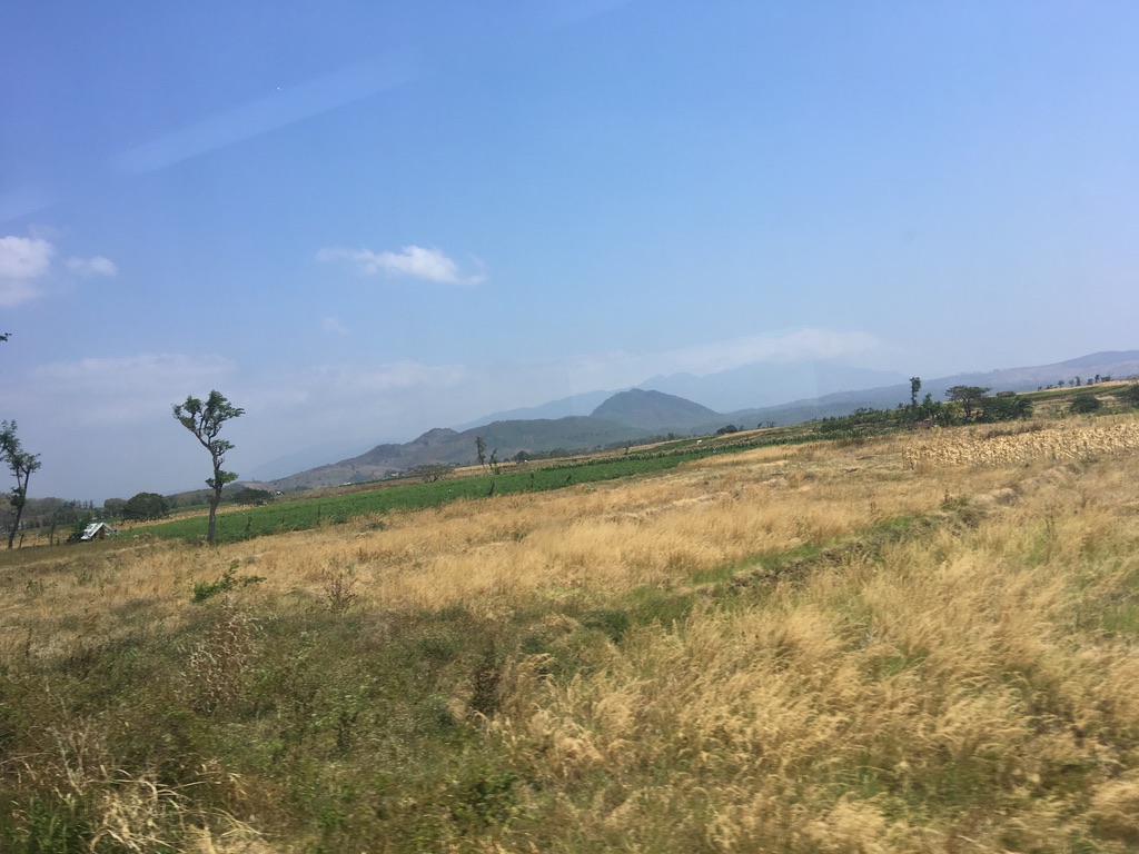 f:id:wannavi:20200821191823j:plain