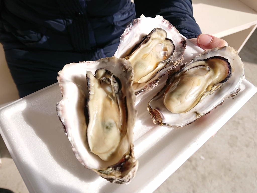 f:id:wanny306xsi:20190212233559j:plain