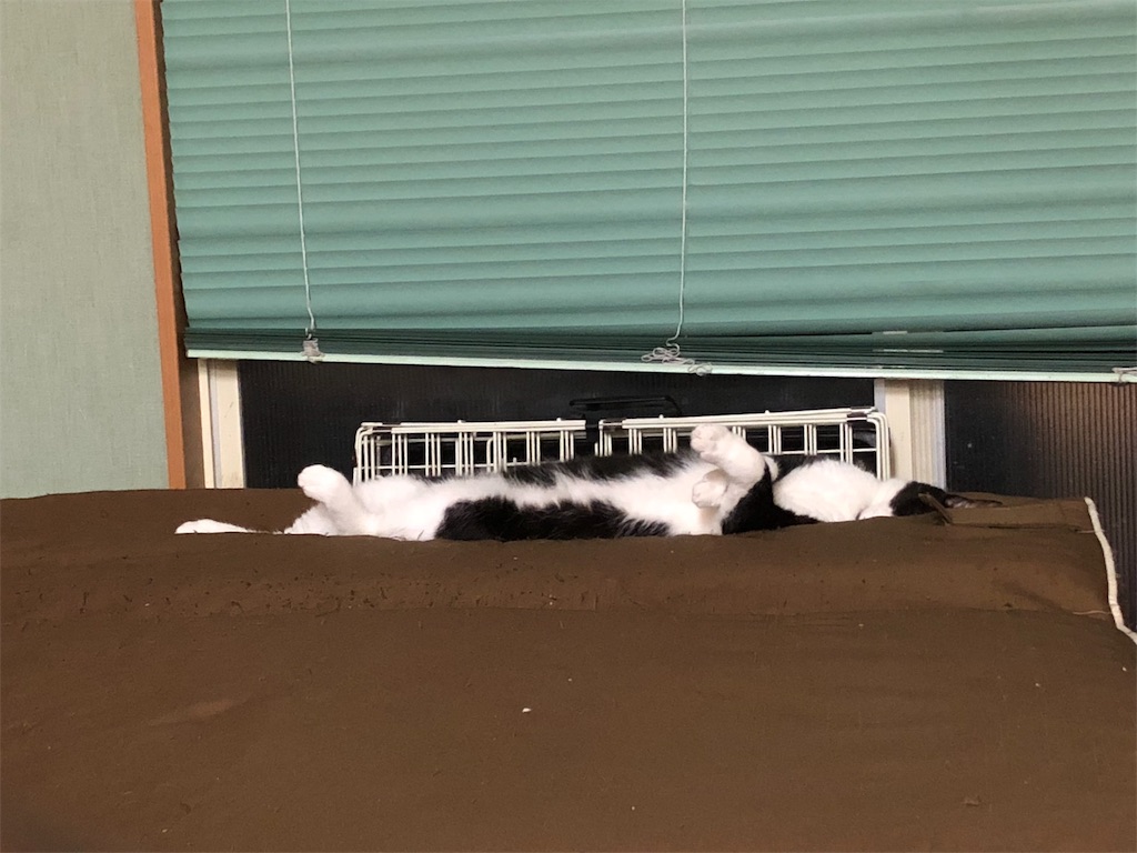 f:id:wanomichi68:20181026200838j:image f:id:wanomichi68:20181026200838j:image