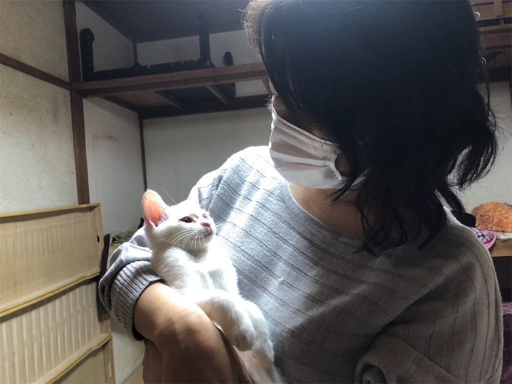 f:id:wanomichi68:20181026202921j:image f:id:wanomichi68:20181026202921j:image