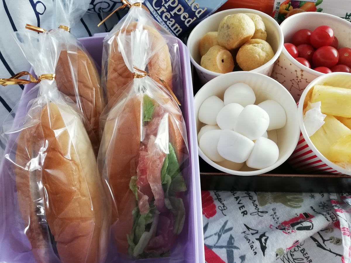 f:id:wanomotenasi:20190409170854j:plain f:id:wanomotenasi:20190409170854j:plain