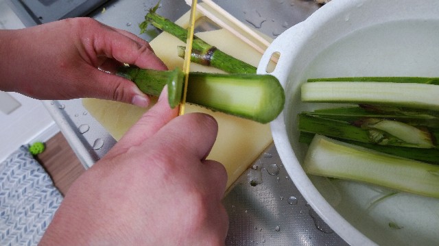 f:id:wanpaku-yaseiji:20190609221557j:image