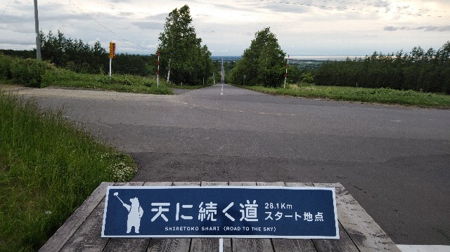 f:id:wanpaku-yaseiji:20190626005357j:image f:id:wanpaku-yaseiji:20190626005357j:image
