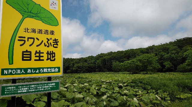 f:id:wanpaku-yaseiji:20190711015543j:image f:id:wanpaku-yaseiji:20190711015543j:image
