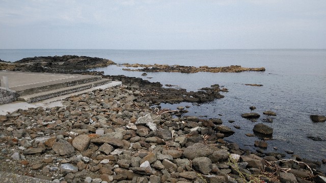 f:id:wanpaku-yaseiji:20190811121116j:image f:id:wanpaku-yaseiji:20190811121116j:image