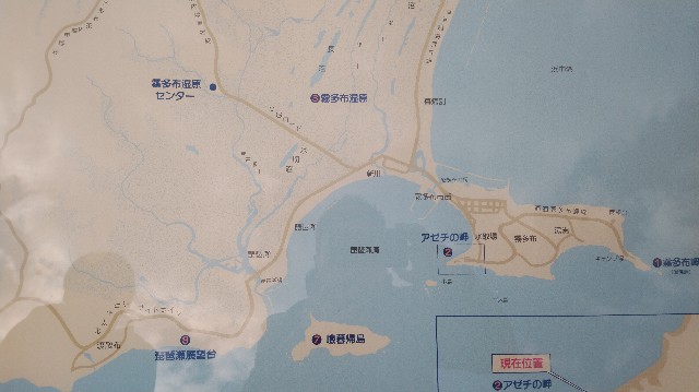 f:id:wanpaku-yaseiji:20191125234446j:image f:id:wanpaku-yaseiji:20191125234446j:image