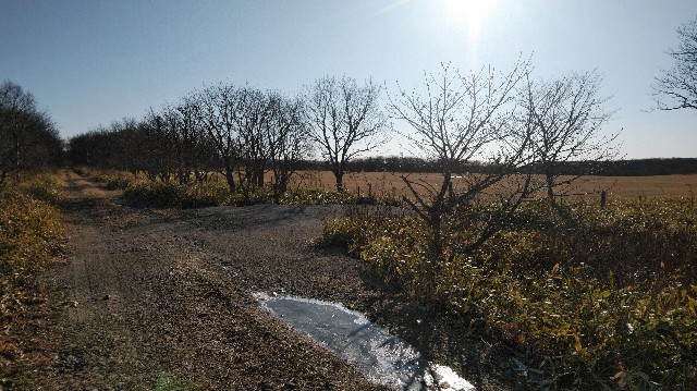 f:id:wanpaku-yaseiji:20200104014730j:image f:id:wanpaku-yaseiji:20200104014730j:image