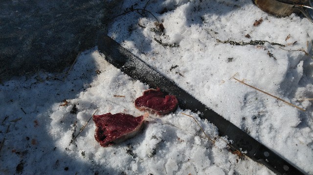 f:id:wanpaku-yaseiji:20200215020052j:image