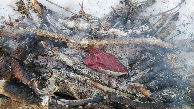 f:id:wanpaku-yaseiji:20200215021038j:image