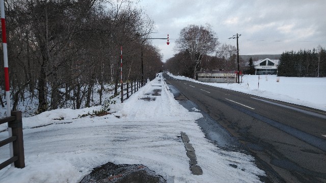 f:id:wanpaku-yaseiji:20200227012615j:image f:id:wanpaku-yaseiji:20200227012615j:image