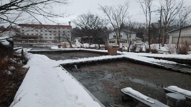 f:id:wanpaku-yaseiji:20200317123712j:image