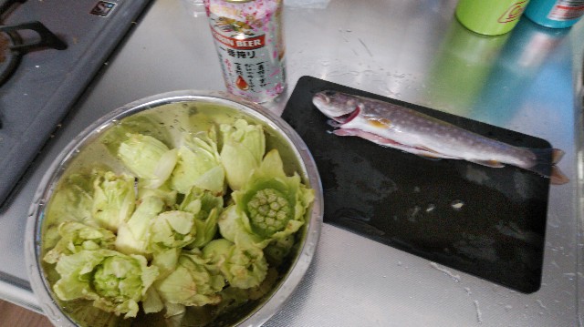 f:id:wanpaku-yaseiji:20200328023251j:image f:id:wanpaku-yaseiji:20200328023251j:image