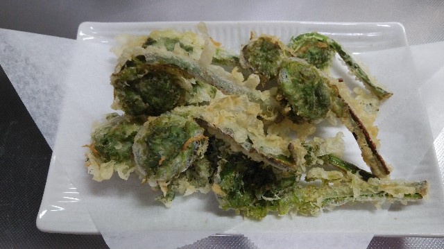 f:id:wanpaku-yaseiji:20200529124310j:image