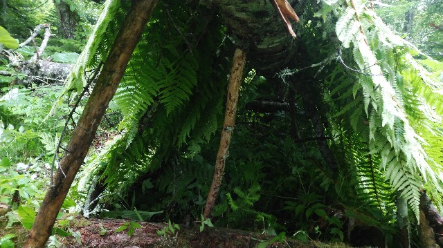 f:id:wanpaku-yaseiji:20200702192510j:image f:id:wanpaku-yaseiji:20200702192510j:image